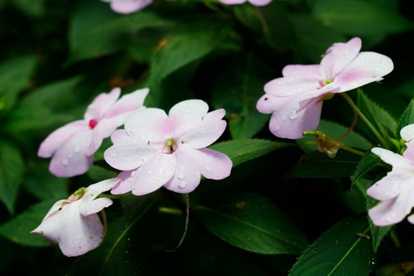 Luminaire Narbonne : le plafonnier qui sublime votre intérieur